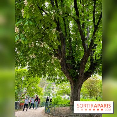 Jardin Villemin - nos photos