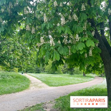 Le parc de Bois-Préau - nos photos