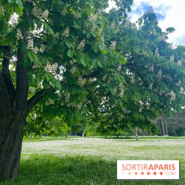 Le parc de Bois-Préau - nos photos