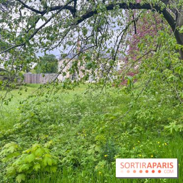 Le parc de Bois-Préau - nos photos