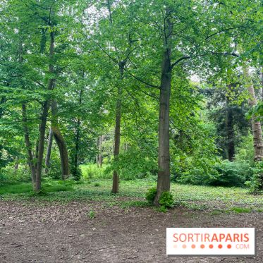 Le parc de Bois-Préau - nos photos