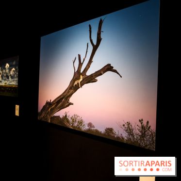 Reflets de la nature, nos photos de l'exposition