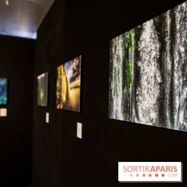 Reflets de la nature, nos photos de l'exposition