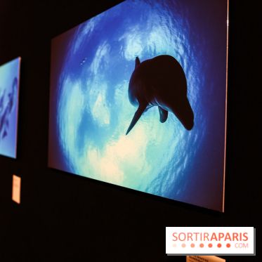 Reflets de la nature, nos photos de l'exposition