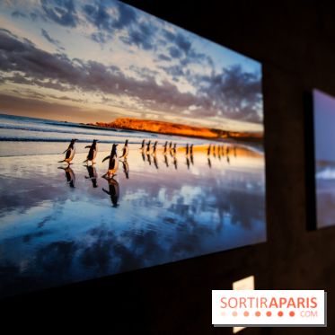 Reflets de la nature, nos photos de l'exposition