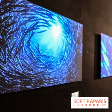 Reflets de la nature, nos photos de l'exposition