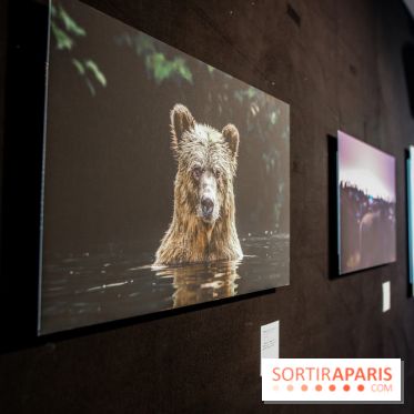 Reflets de la nature, nos photos de l'exposition