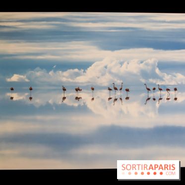 Reflets de la nature, nos photos de l'exposition