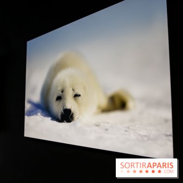Reflets de la nature, nos photos de l'exposition