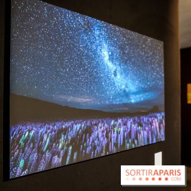 Reflets de la nature, nos photos de l'exposition