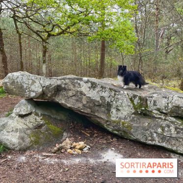 Dolmen de la Pierre Ardoue - IMG 0974