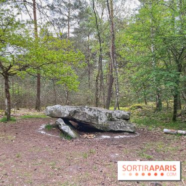 Dolmen de la Pierre Ardoue - IMG 0988