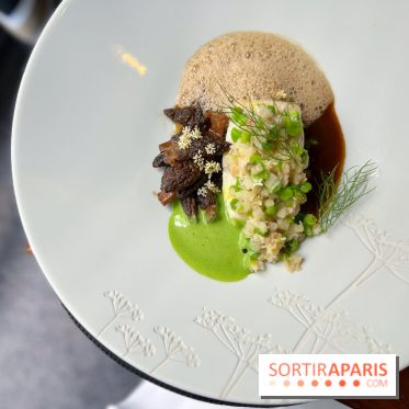 Auguste - Turbot, petits pois, tourteau