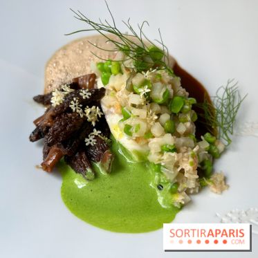 Auguste - Turbot, petits pois, tourteau