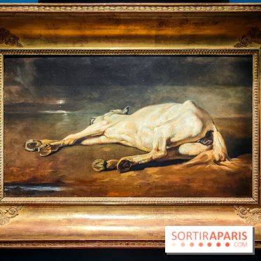 Les chevaux de Géricault : l'exposition hommage au peintre se dévoile au musée de la Vie Romantique - IMG20240514101946