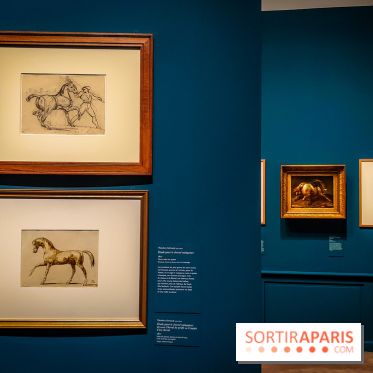 Les chevaux de Géricault : l'exposition hommage au peintre se dévoile au musée de la Vie Romantique - IMG20240514102444