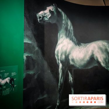 Les chevaux de Géricault : l'exposition hommage au peintre se dévoile au musée de la Vie Romantique - IMG20240514095313