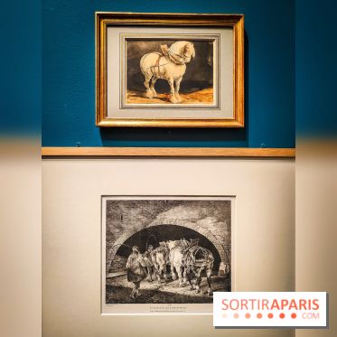 Les chevaux de Géricault : l'exposition hommage au peintre se dévoile au musée de la Vie Romantique - IMG20240514101439