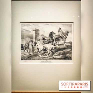 Les chevaux de Géricault : l'exposition hommage au peintre se dévoile au musée de la Vie Romantique - IMG20240514101447
