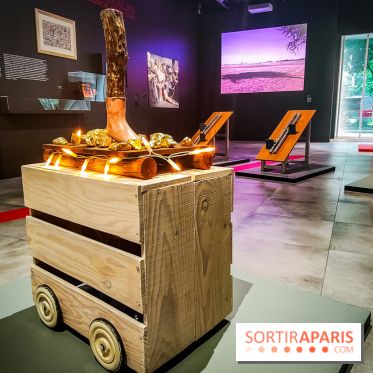 Marathon, la course du messager : l'exposition olympique du Musée de la Poste - nos photos - IMG20240514191146