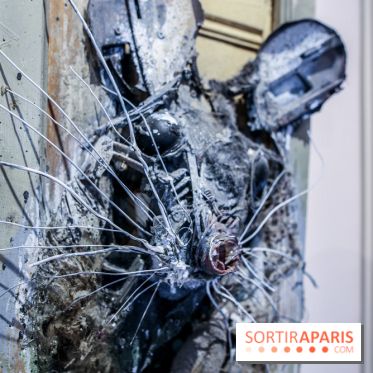Le Décryptage de l’art de rue, nos photos de l'expo