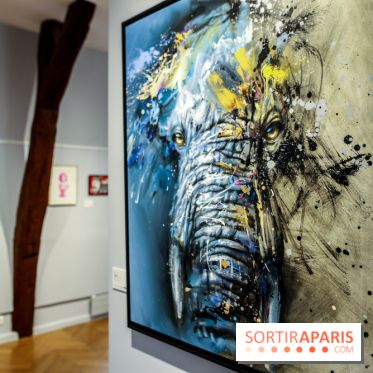 Le Décryptage de l’art de rue, nos photos de l'expo