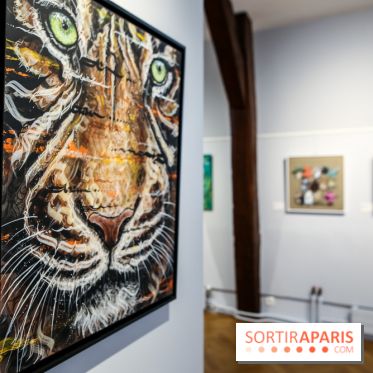 Le Décryptage de l’art de rue, nos photos de l'expo