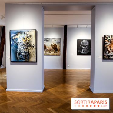 Le Décryptage de l’art de rue, nos photos de l'expo