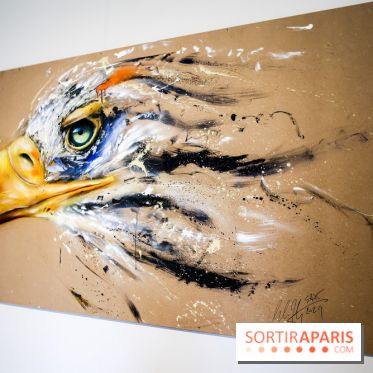 Le Décryptage de l’art de rue, nos photos de l'expo