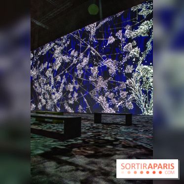 Artificial Dreams - DSC 0018