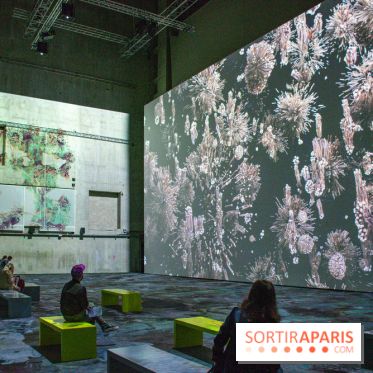 Artificial Dreams - DSC 0025