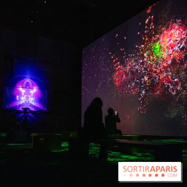 Artificial Dreams - DSC 0052