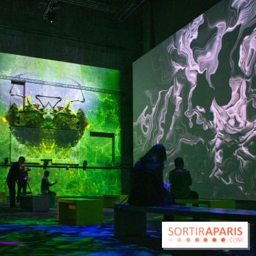 Artificial Dreams - DSC 0065