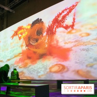 Artificial Dreams - DSC 0066