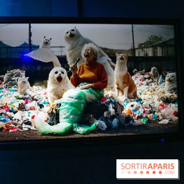 Artificial Dreams - DSC 0083