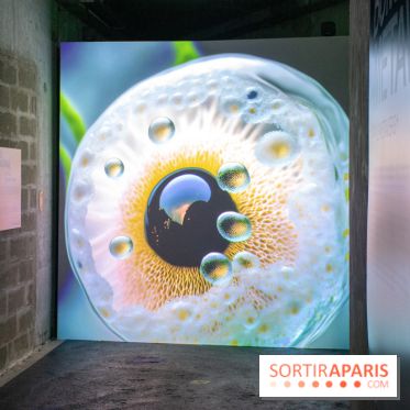 Artificial Dreams - DSC 0091