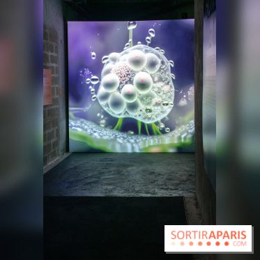 Artificial Dreams - DSC 0092