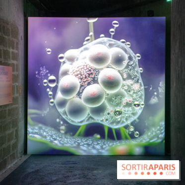 Artificial Dreams - DSC 0093