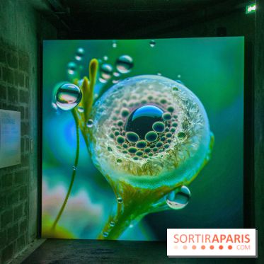 Artificial Dreams - DSC 0094