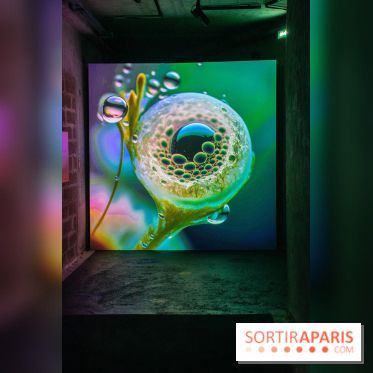 Artificial Dreams - DSC 0095