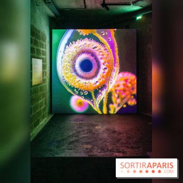 Artificial Dreams - DSC 0096