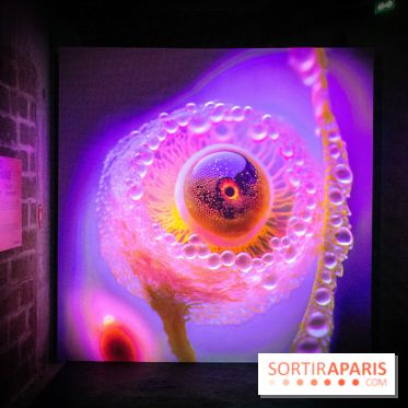 Artificial Dreams - DSC 0097