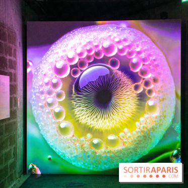 Artificial Dreams - DSC 0098