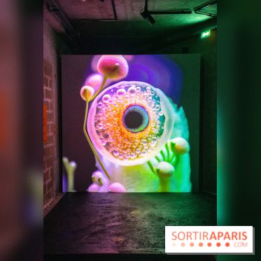 Artificial Dreams - DSC 0099