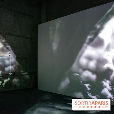 Artificial Dreams - DSC 0104