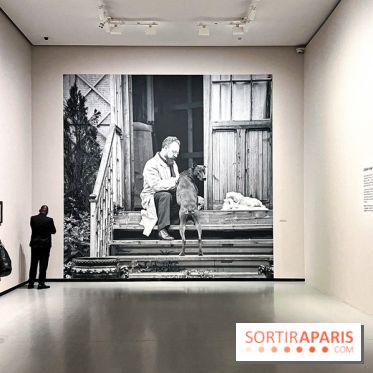 Matisse