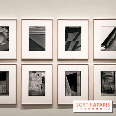 Formes et couleurs, l'exposition hommage à Ellsworth Kelly à la Fondation Louis Vuitton