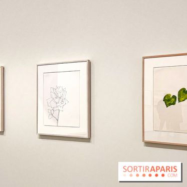 Formes et couleurs, l'exposition hommage à Ellsworth Kelly à la Fondation Louis Vuitton - image00043