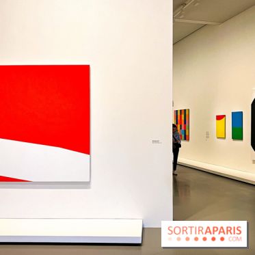 Formes et couleurs, l'exposition hommage à Ellsworth Kelly à la Fondation Louis Vuitton - image00055