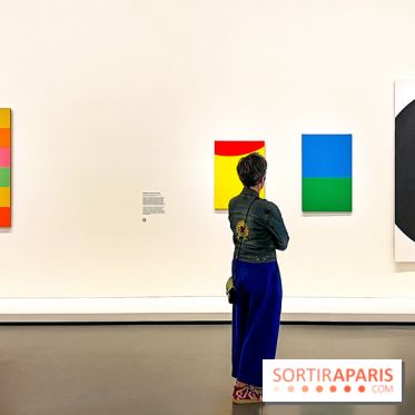 Formes et couleurs, l'exposition hommage à Ellsworth Kelly à la Fondation Louis Vuitton - image00071